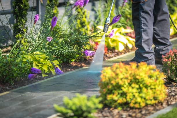 Best Driveway Pressure Washing  in Lanark, IL