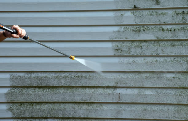 Best Dumpster Area Cleaning  in Lanark, IL
